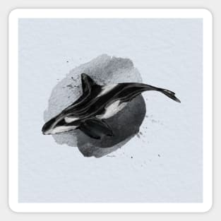 Orca Sticker